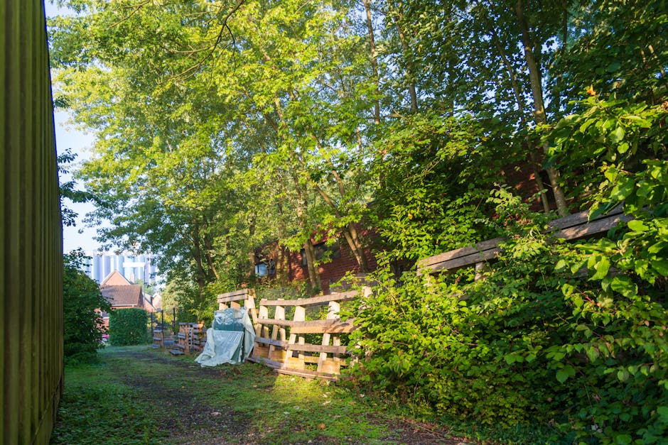 A narrow outdoor passageway alongside a residential property, with a dirt and grass pathway leading towards a garden area. On the left, a tall wooden fence partially shaded by tree branches and leaves, while on the right, a sloped wooden fence covered in green foliage and shrubbery. Several stacks of wooden pallets, some wrapped in plastic or fabric coverings, are arranged along the pathway, indicating recent packing or furniture preparation for a home relocation. The background features tall trees with dense green leaves filtering sunlight, and the distant view of rooftops and buildings suggests an urban or suburban setting. The scene reflects an area that could pose difficulties for house removals services, highlighting the importance of careful access planning during furniture transport and loading processes, as managed by Highbury Man and Van.