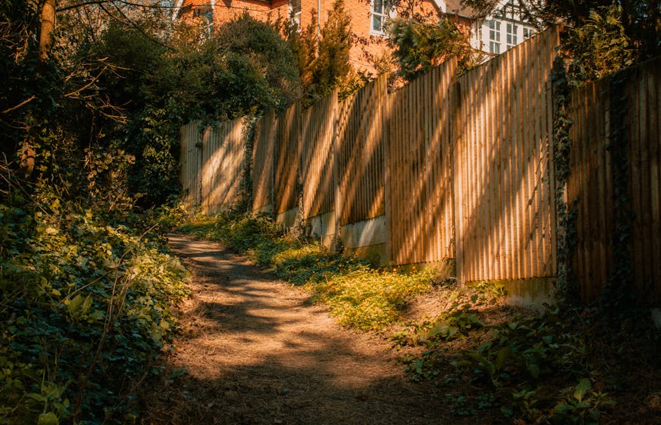 A narrow outdoor passageway alongside a residential property, with a dirt and grass pathway leading towards a garden area. On the left, a tall wooden fence partially shaded by tree branches and leaves, while on the right, a sloped wooden fence covered in green foliage and shrubbery. Several stacks of wooden pallets, some wrapped in plastic or fabric coverings, are arranged along the pathway, indicating recent packing or furniture preparation for a home relocation. The background features tall trees with dense green leaves filtering sunlight, and the distant view of rooftops and buildings suggests an urban or suburban setting. The scene reflects an area that could pose difficulties for house removals services, highlighting the importance of careful access planning during furniture transport and loading processes, as managed by Highbury Man and Van.